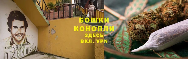 трава Новозыбков