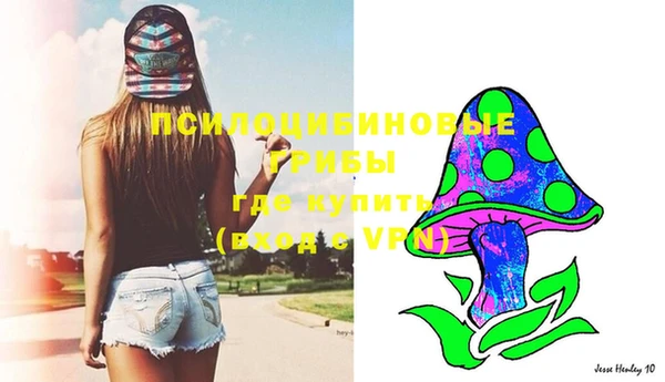 меф Новодвинск
